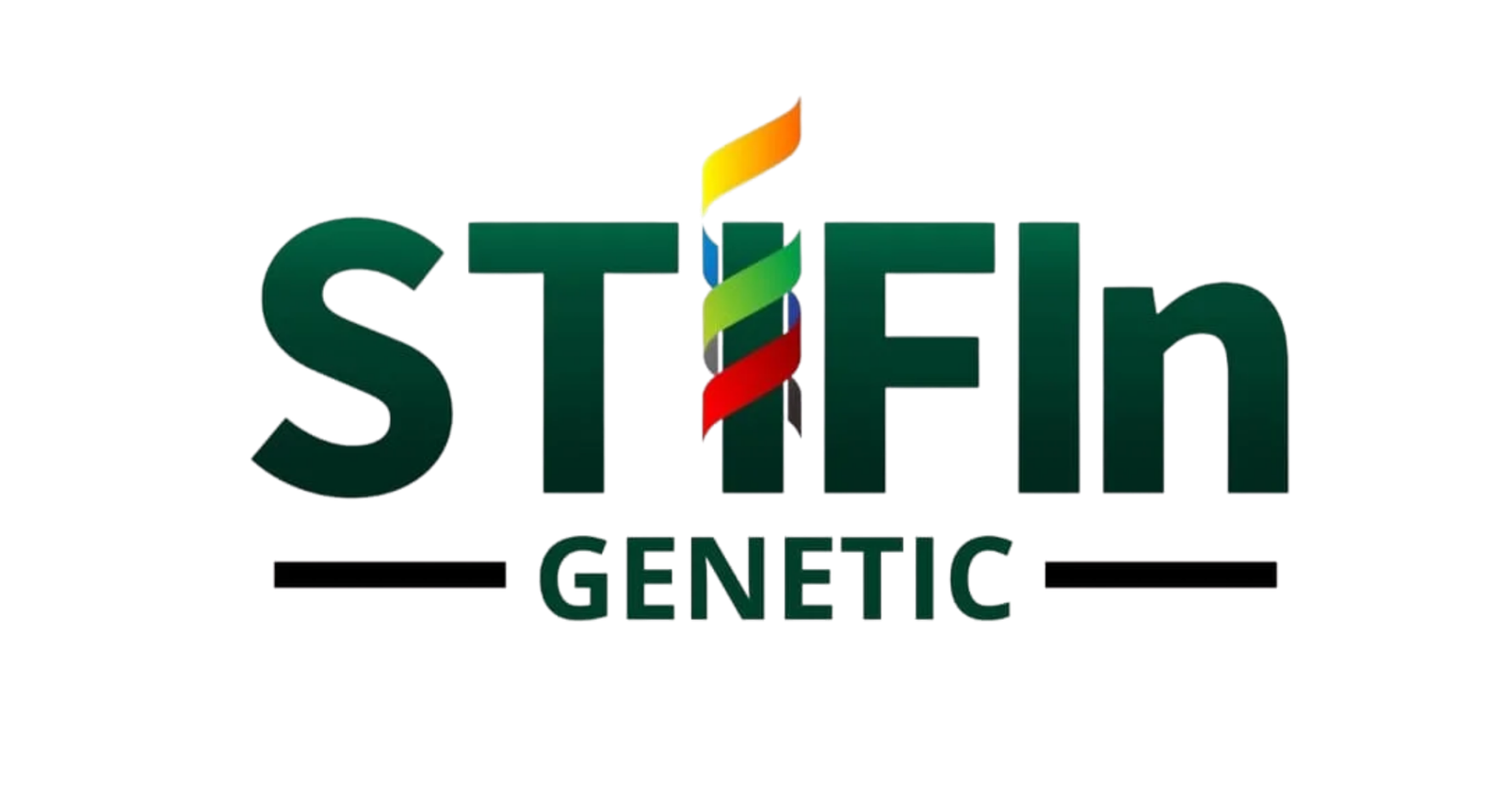 Logo Stifin
